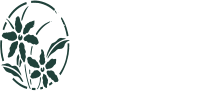 BANKYWOOD